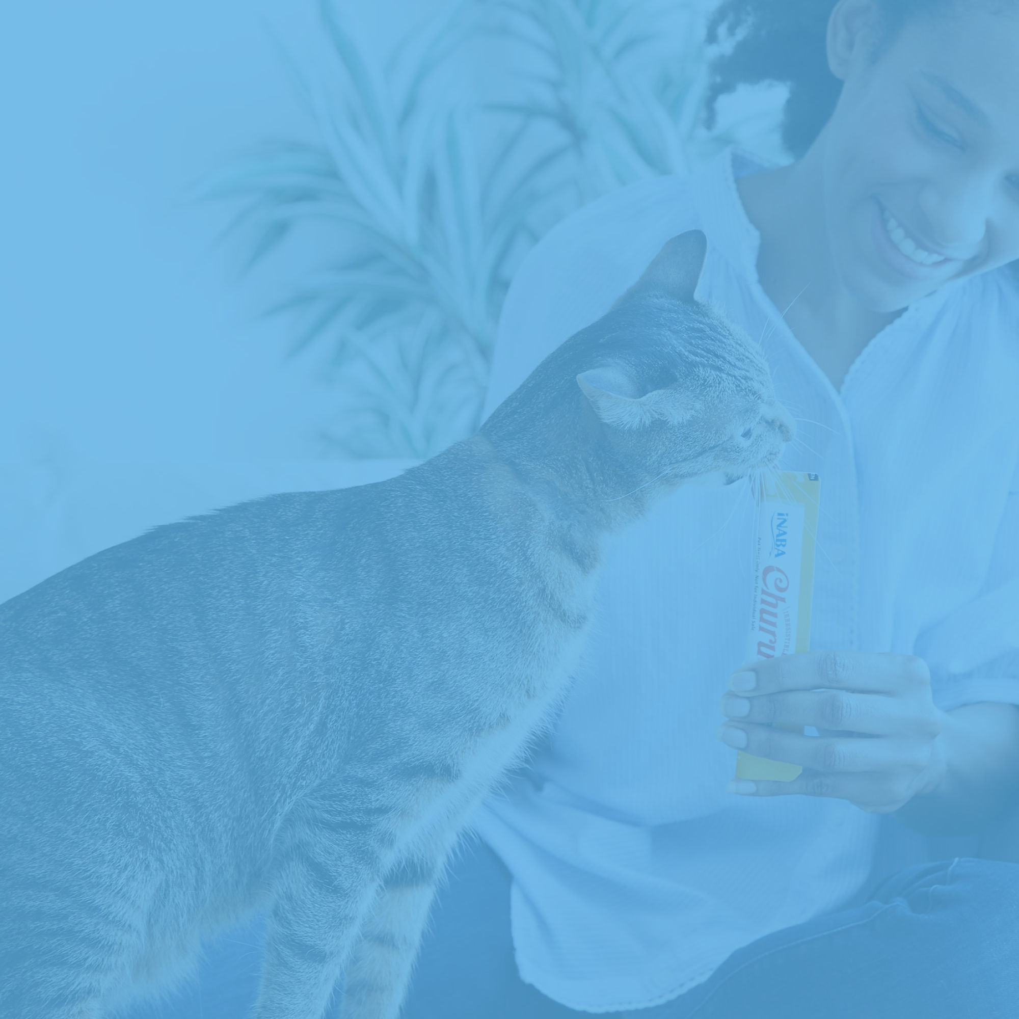 Inaba Cat Treats