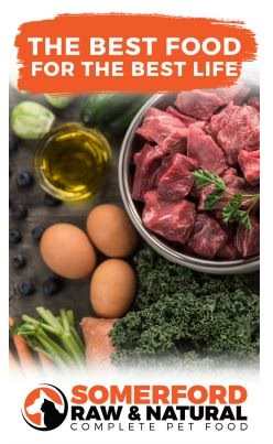 NOT ALL RAW PET FOODS ARE CREATED EQUAL ……