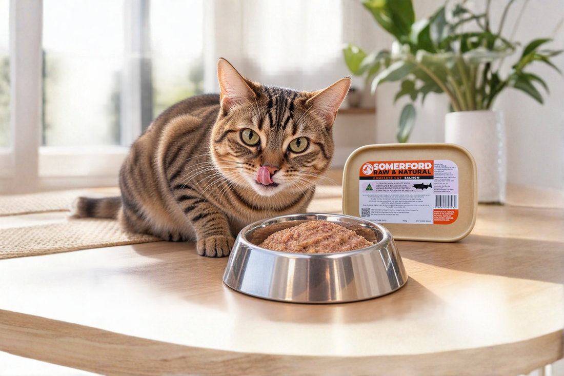Why Somerford Raw Is a Better Choice for Your Cat