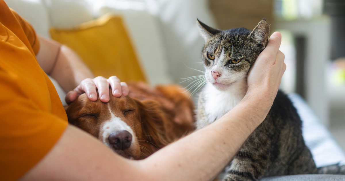 Building a Community That Puts Pets First