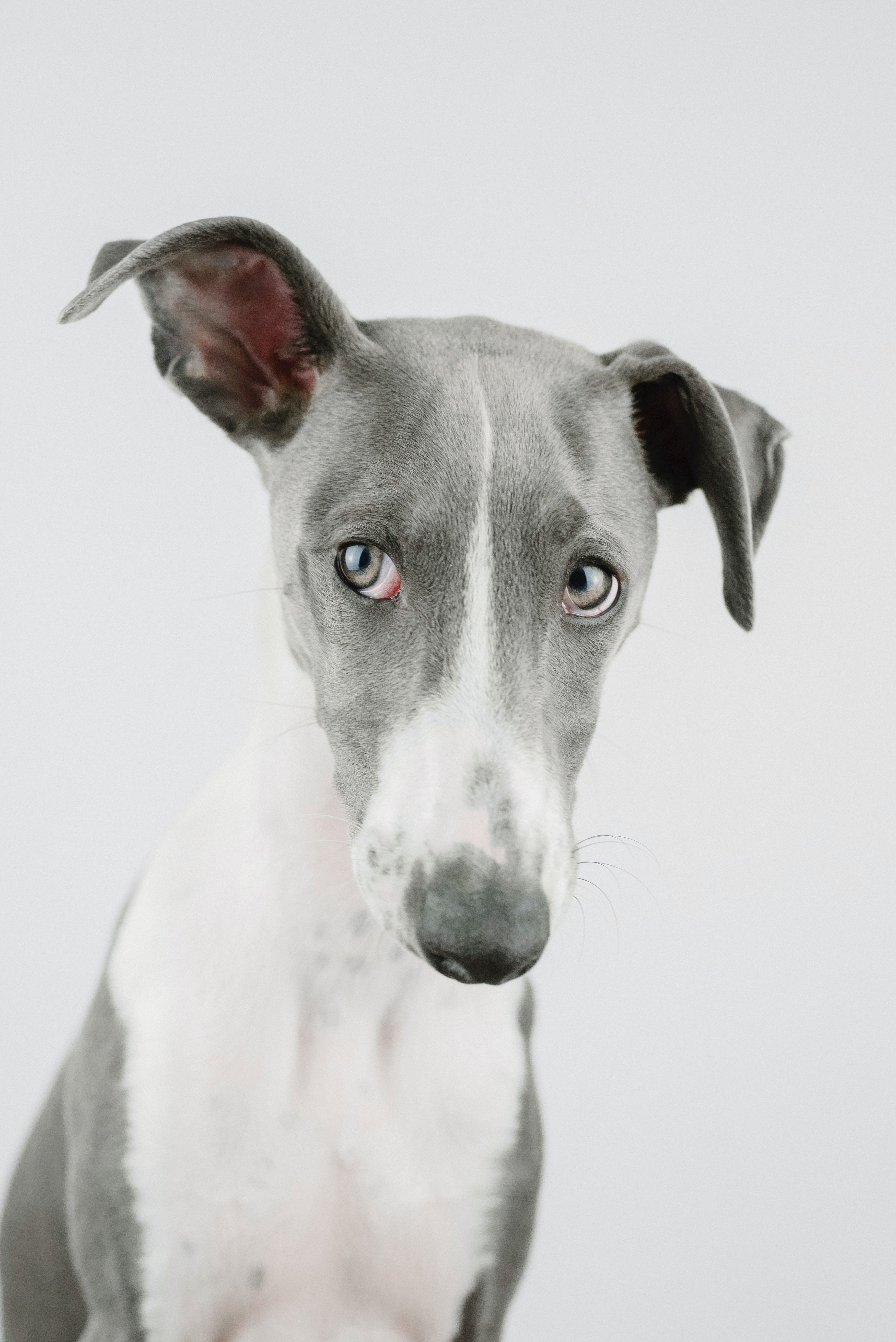 Ear Care