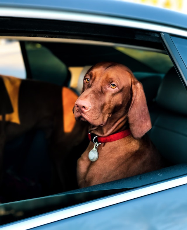 Managing motion sickness