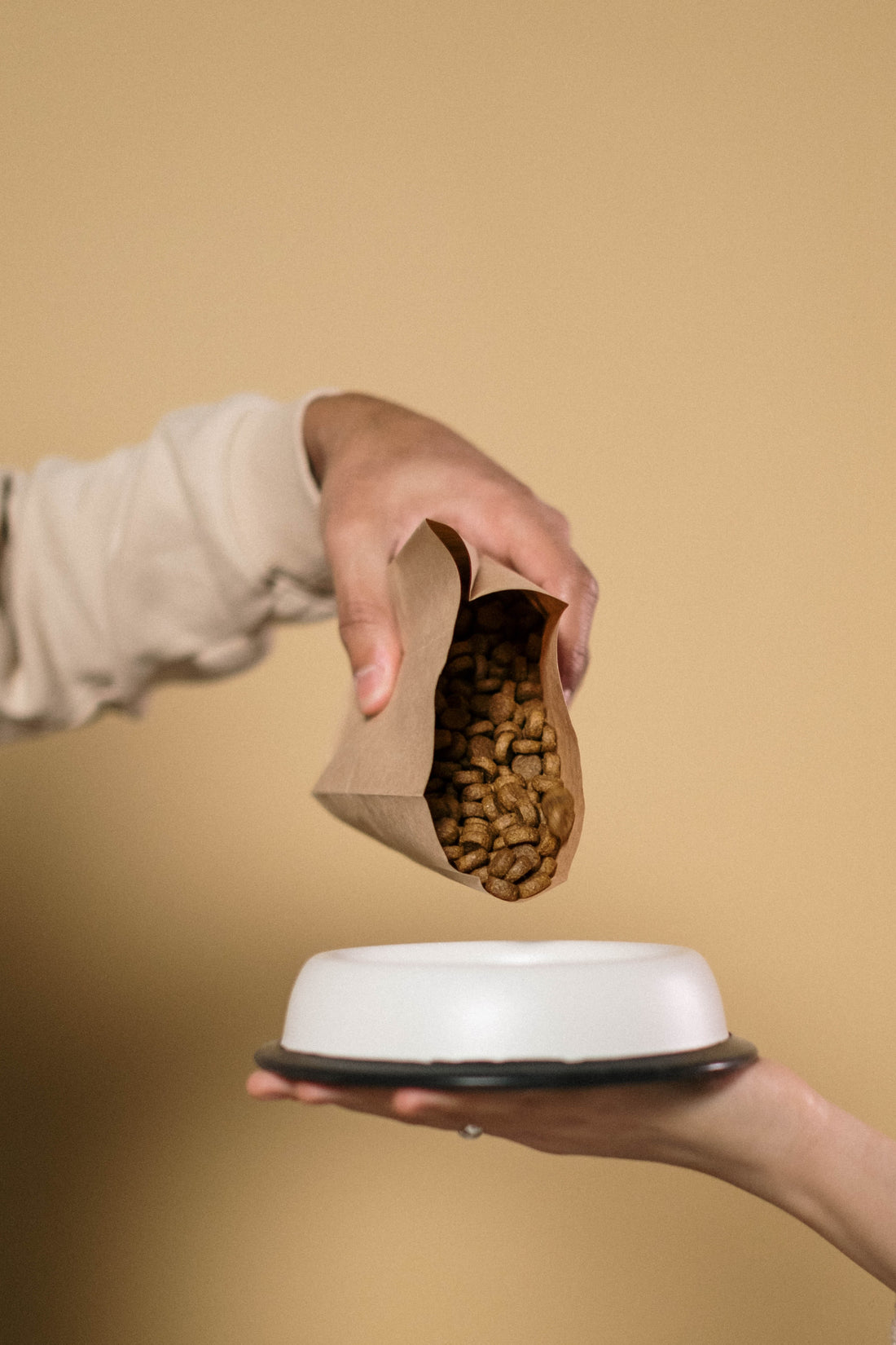 Pet Food Online
