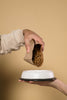Pet Food Online