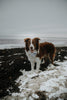 Storm phobias