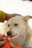 Natural Pet Treats