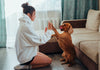 Dog & Puppy Care Sheets