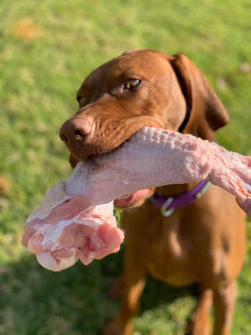 IS IT SAFE TO FEED RAW BONES ?........