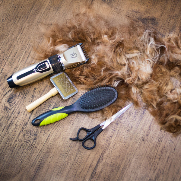 Grooming Products