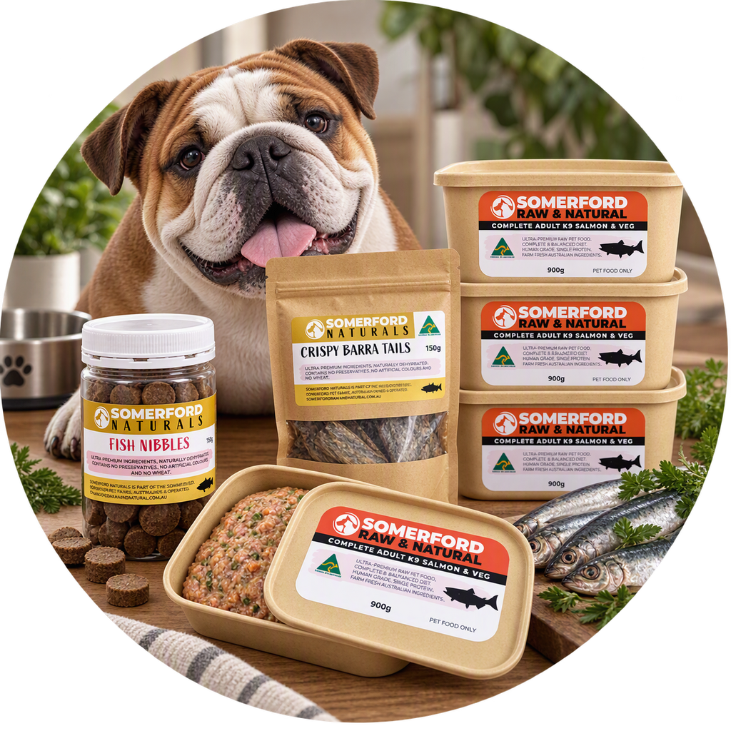 Somerford Raw Salmon Elimination Diet Bundle for Adult Dogs