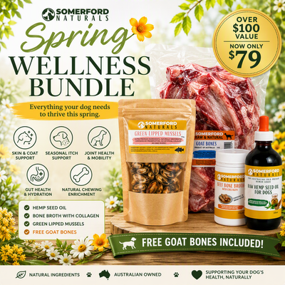 🌼 Somerford Spring Wellness Bundle