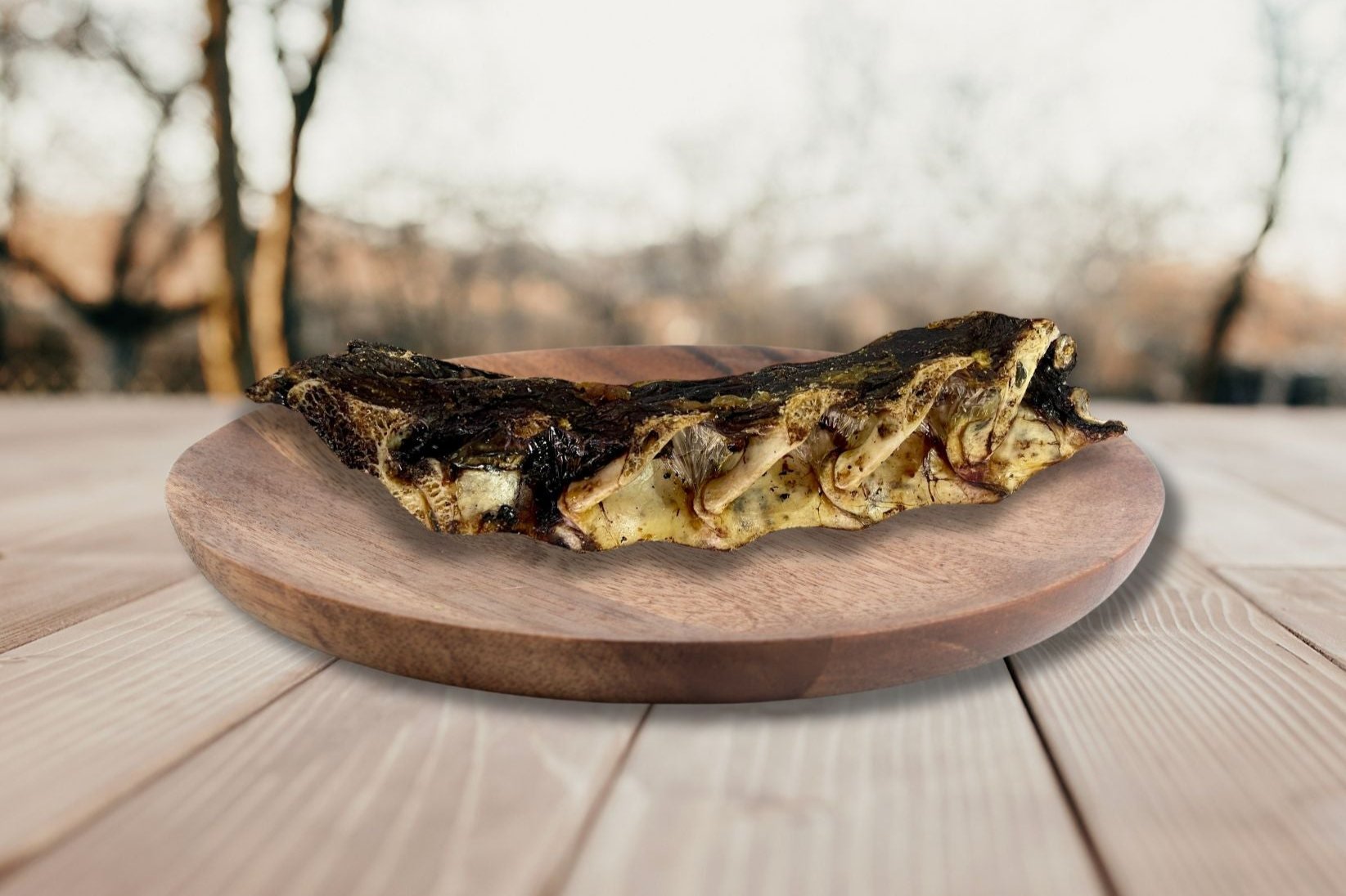 Emu Lumbar Bone Dog Treat