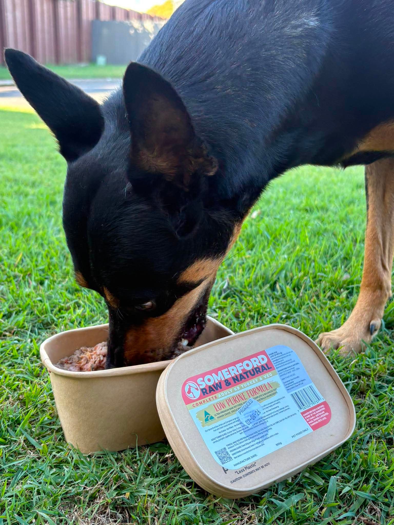 Somerford Raw Specialist Low Purine Complete Dog Meal Packs