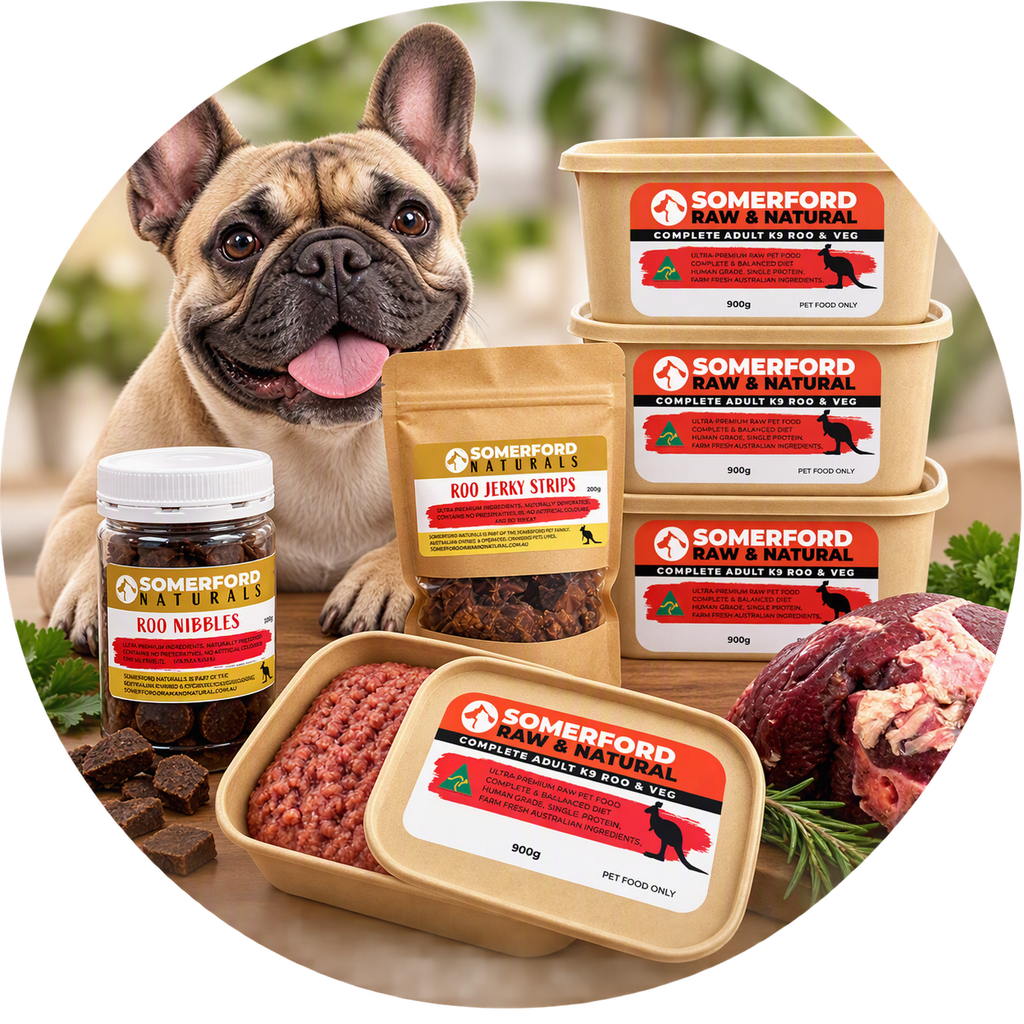 Somerford Raw Kangaroo Elimination Diet Bundle for Adult Dogs