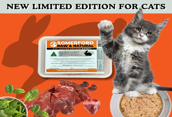 Somerford Raw & Natural - SINGLE PROTEIN RABBIT LIMITED EDITION Cat Food Pack + FREE Meaty Bones.