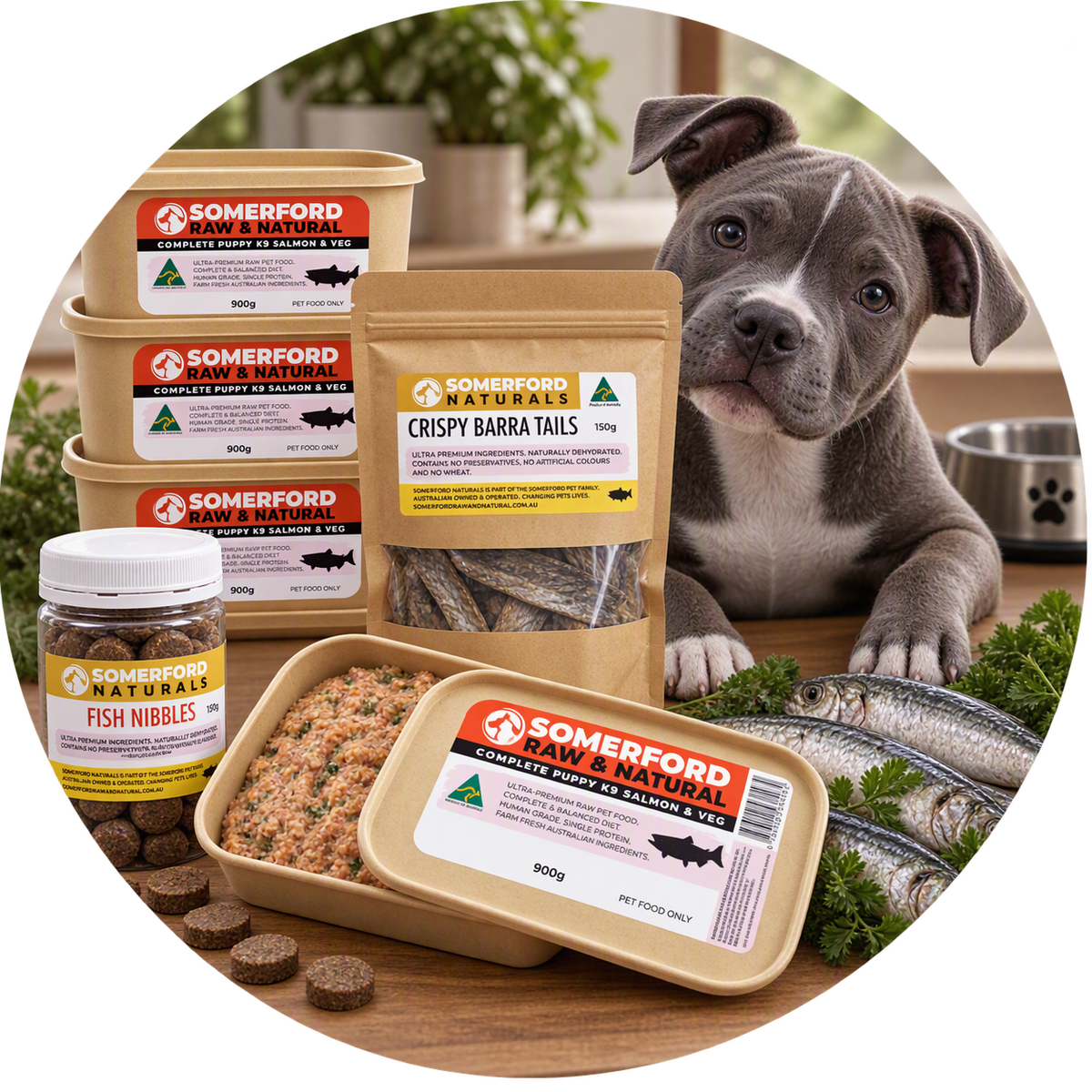 Somerford Raw Salmon Elimination Diet Bundle for Puppies