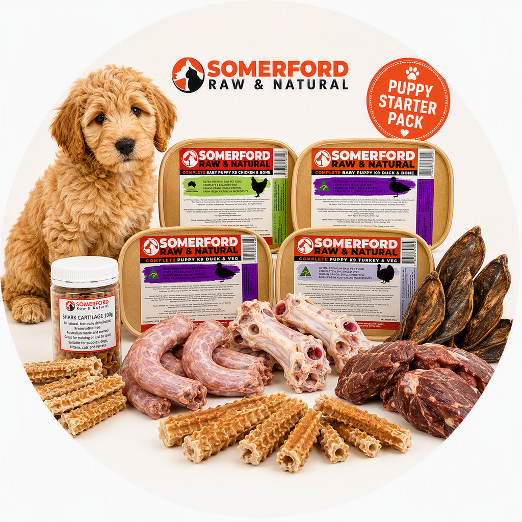 Somerford Raw Puppy Meal Starter Bundle Pack