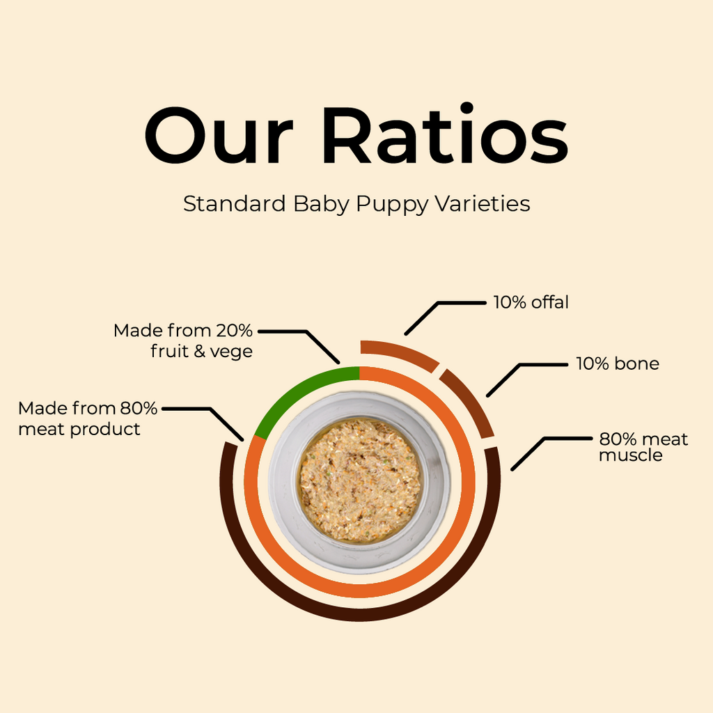 Somerford Raw Puppy Meal Starter Bundle Pack