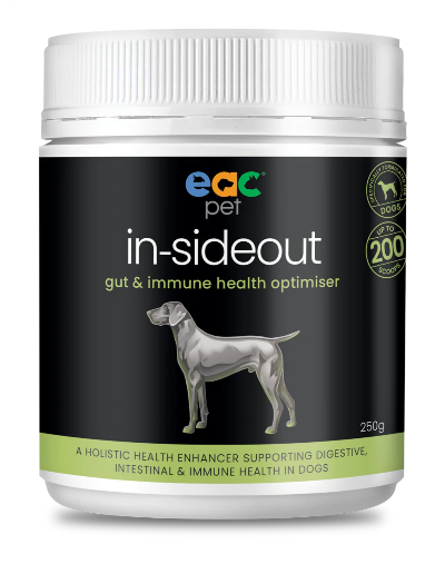 NEW - In-sideout Dog Formula - Pre & Probiotic Natural Nutraceutical Supplement For Dogs