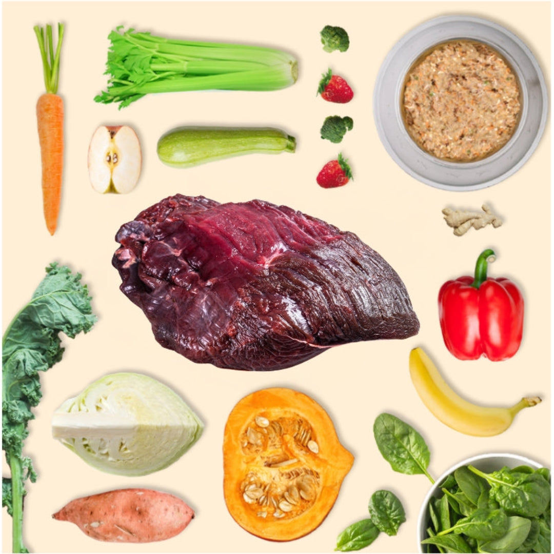 NEW LIMITED EDITION - Novel Protein Adult Pack - Venison