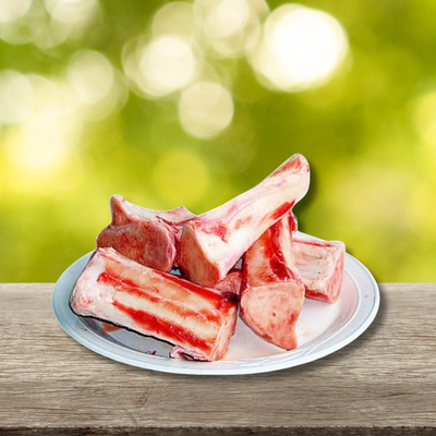 Beef Femur Dog Bones fresh from the New England Grazing Area