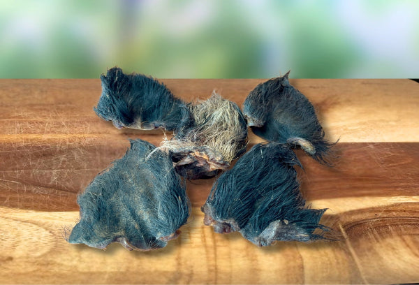 NEW LIMITED EDITION - 5 Pack Wild Boar Ears with Fur