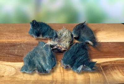 NEW LIMITED EDITION - 5 Pack Wild Boar Ears with Fur