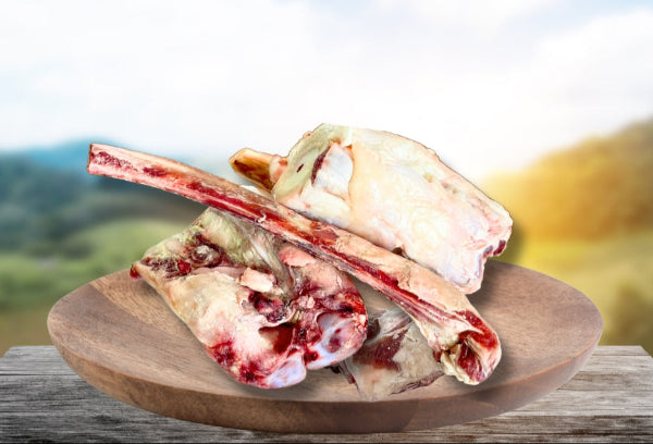 Mixed Beef Dog Bones fresh from the New England Grazing Area