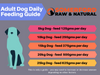 Somerford Raw & Natural - Adult Dog Food Tasmanian Salmon & Veg Pack FREE Meaty Bones
