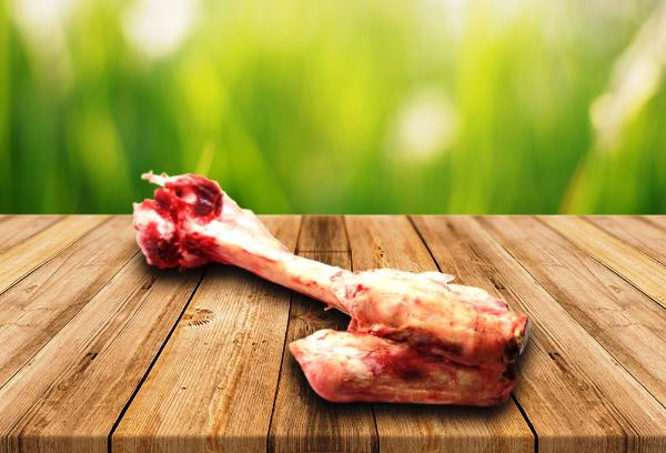 Beef Femur Dog Bones fresh from the New England Grazing Area