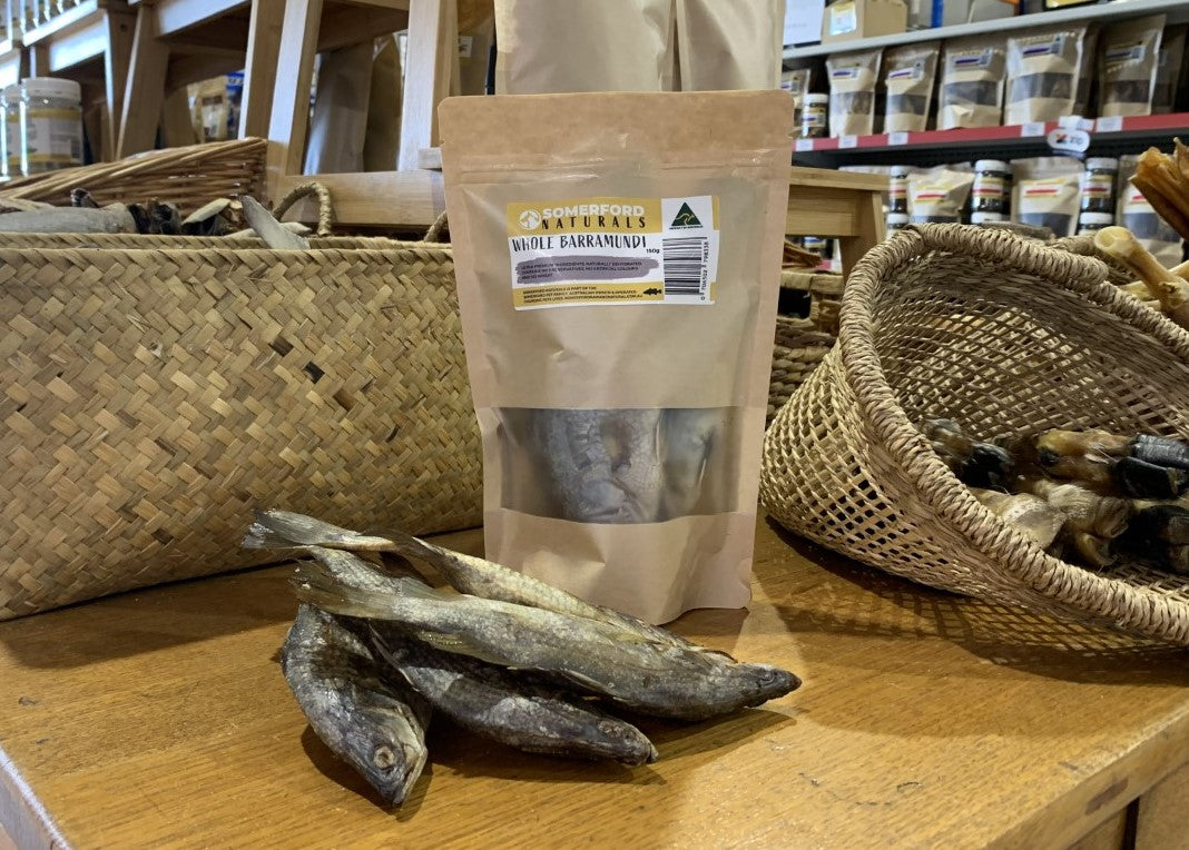Elimination Diet Tasmanian Salmon Adult Bundle