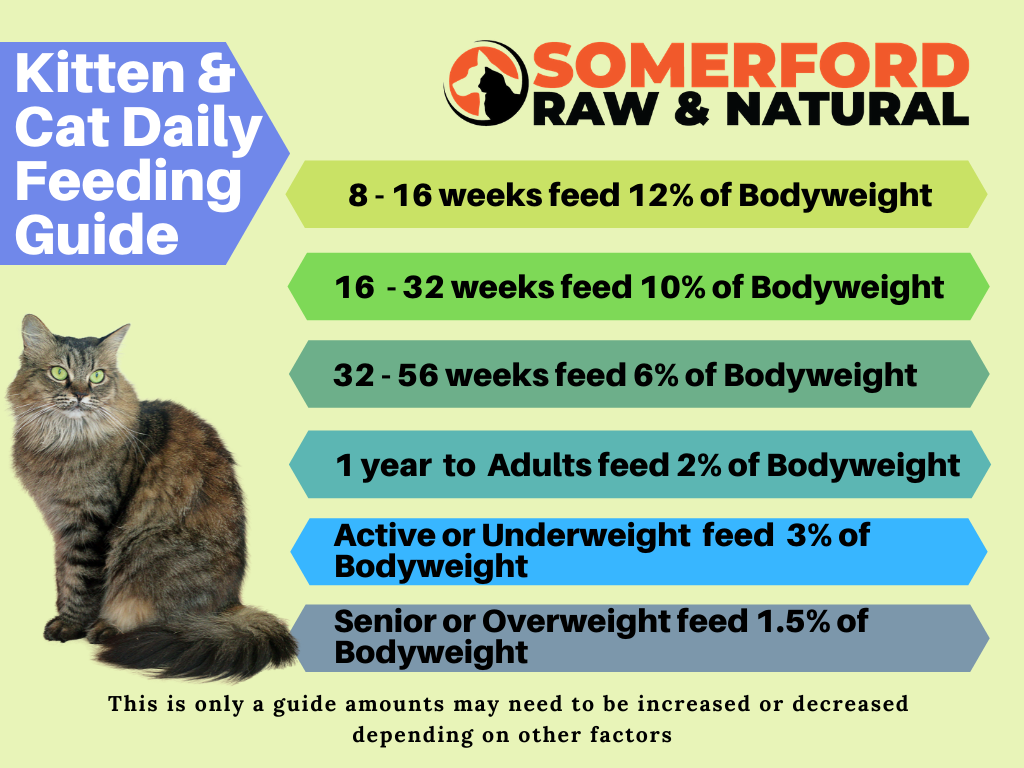 Somerford Raw Natural SINGLE PROTEIN RABBIT LIMITED EDITION Cat Fo