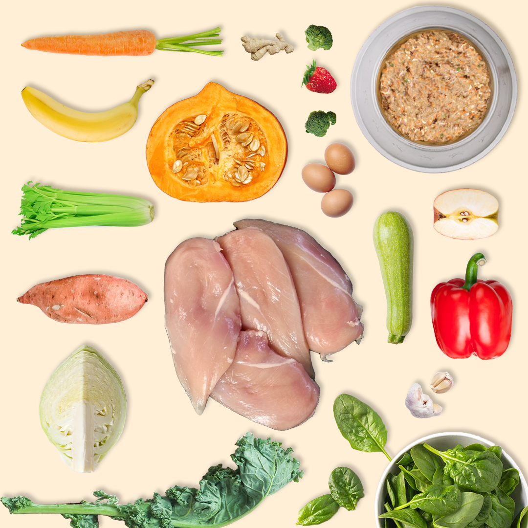 Adult Poultry & Fish Value Pack