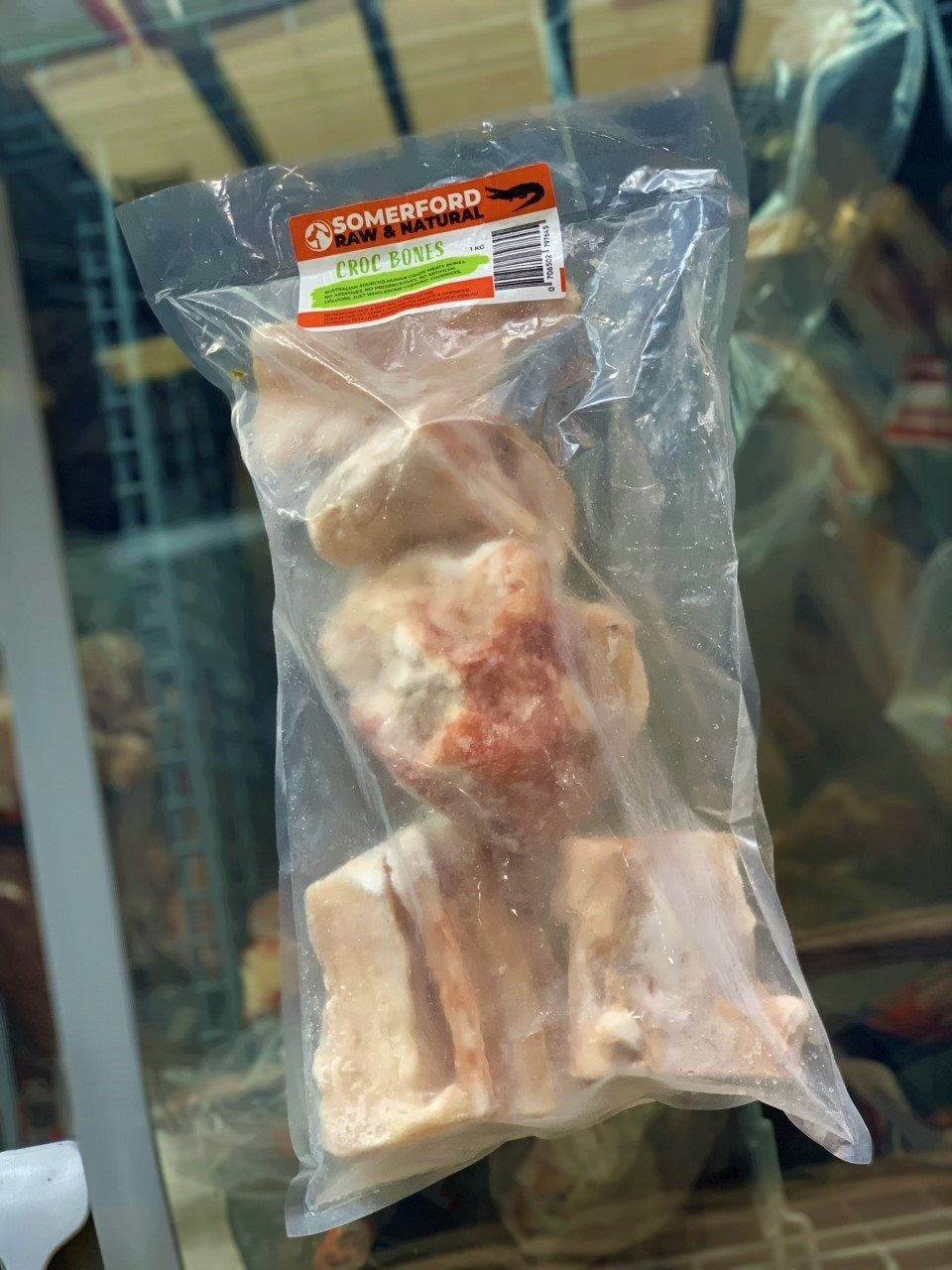 Crocodile Dog Bones