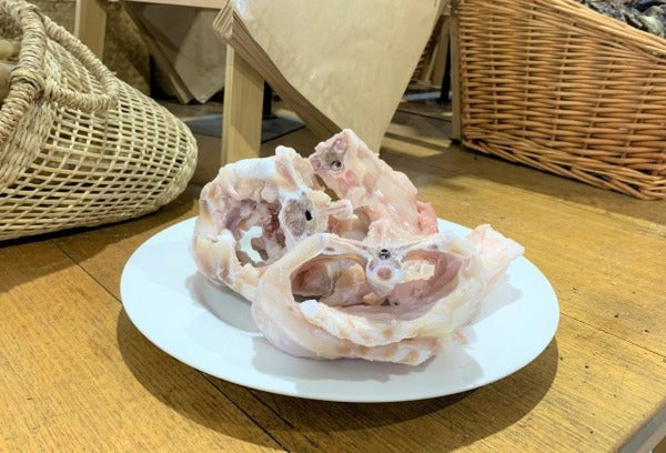 Crocodile Dog Bones