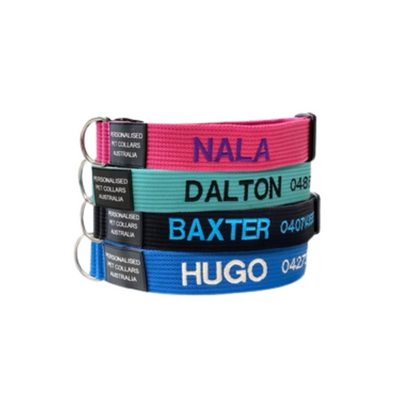 Custom Design Collar