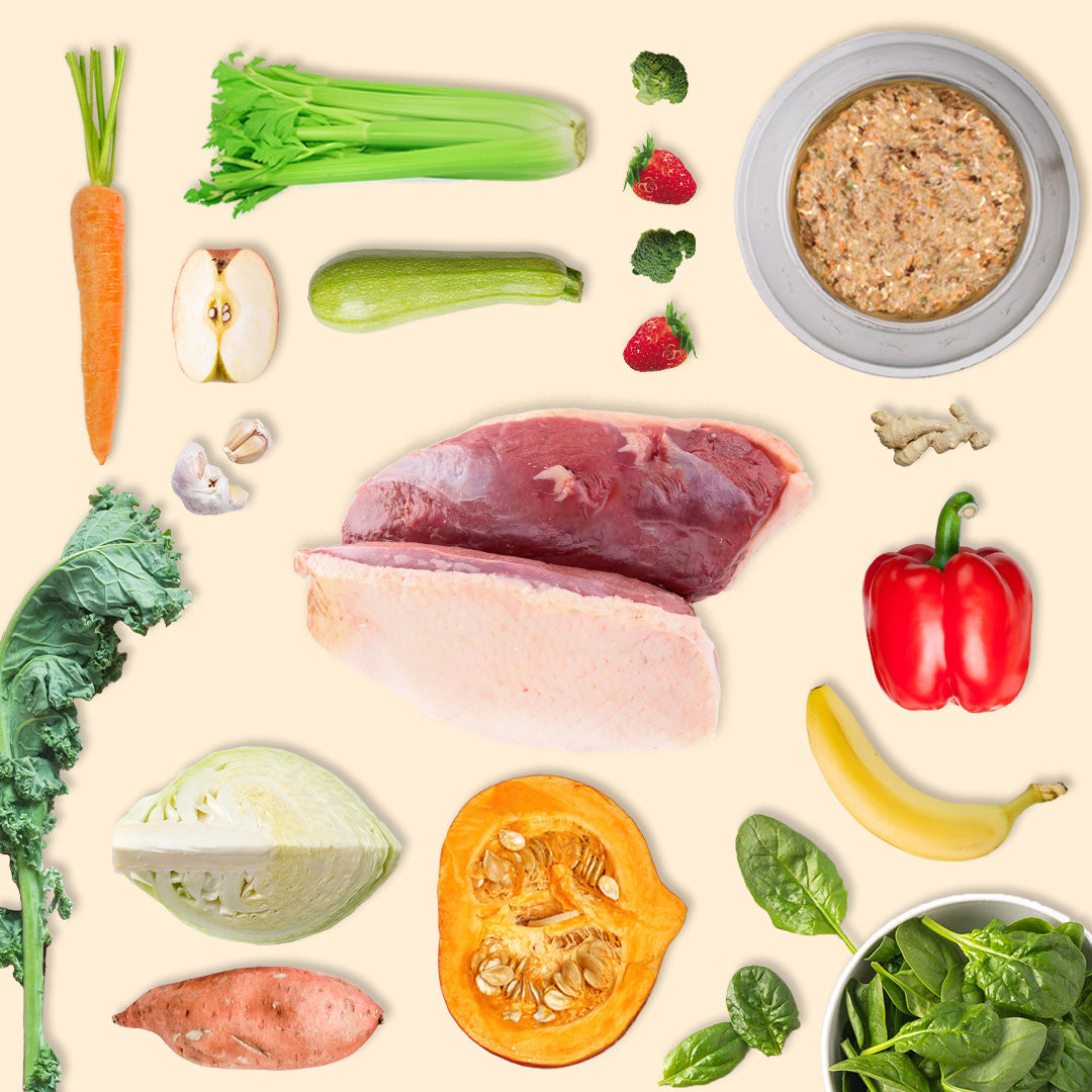 Adult Poultry & Fish Value Pack