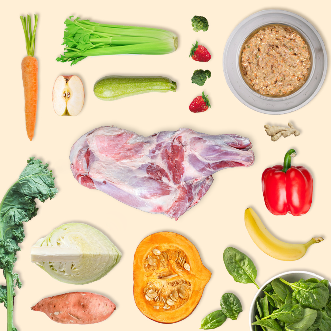 Novel Protein Adult Pack - Goat