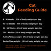 Cat & Kitten Packs