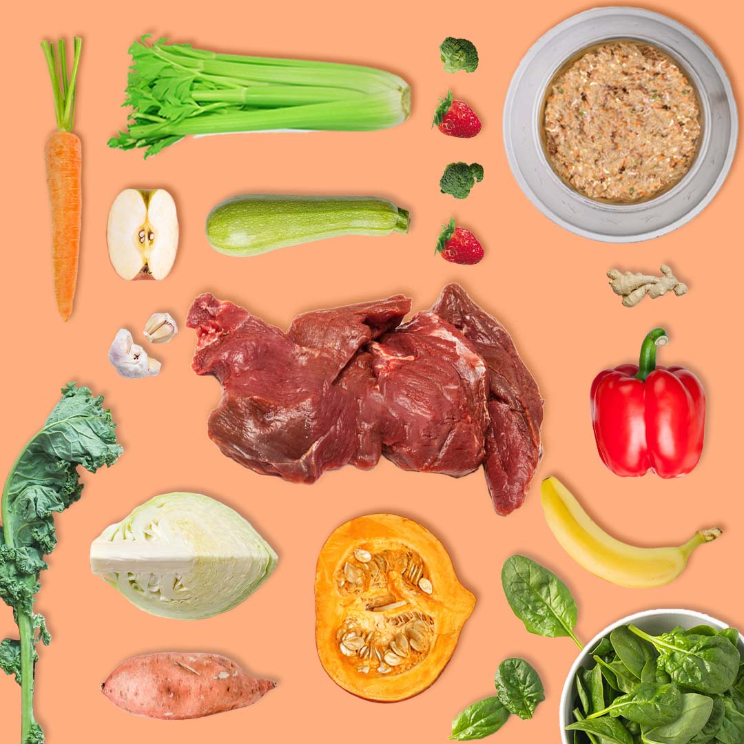 Elimination Diet Adult Kangaroo Bundle