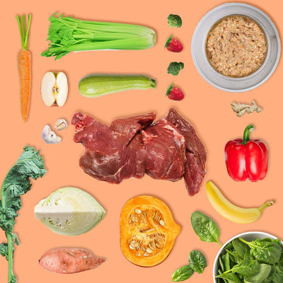 Elimination Diet Adult Kangaroo Bundle