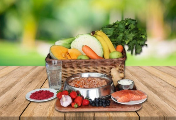 Somerford Raw & Natural - Low Purine Puppy Food Tasmanian Salmon & Veg Pack + FREE Meaty Bones