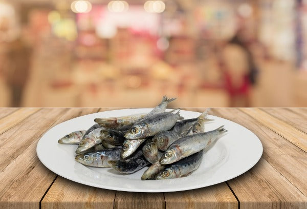 Whole Pilchards