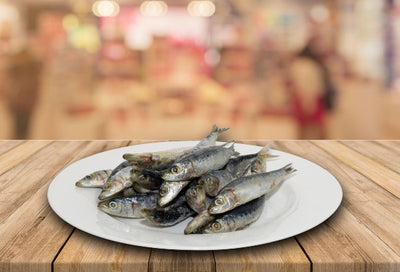 Whole Pilchards