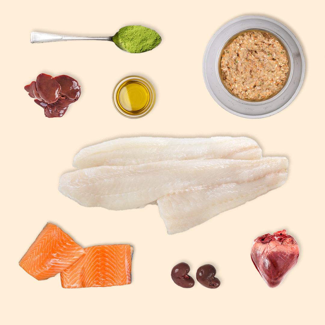 Ferret Protein Boost Packs