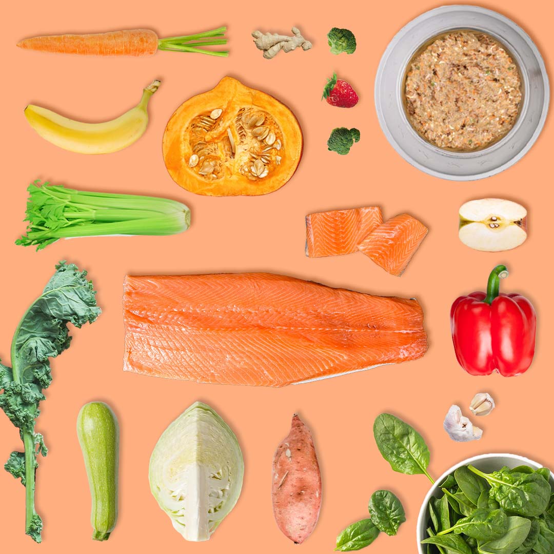 Elimination Diet Tasmanian Salmon Adult Bundle