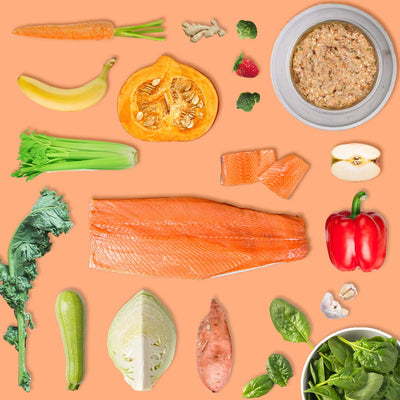 Elimination Diet Tasmanian Salmon Adult Bundle