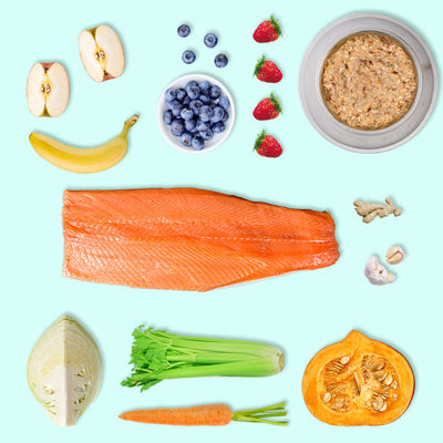 Salmon (900g) – Low Purine