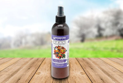 Floral Detangler Dog Cologne Spray