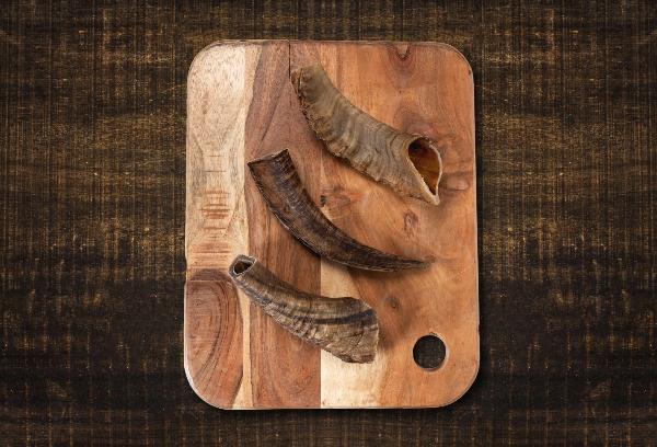 Goat Horns